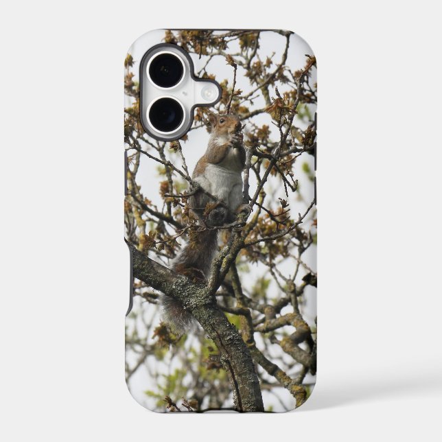 Squirrel in a Tree (Back)