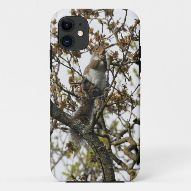 Squirrel in a Tree Case-Mate iPhone Case (Back)