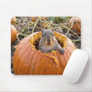 Squirrel in an Autumn Pumpkin Mouse Mat