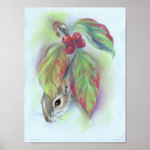 Squirrel in Autumn Dogwood Leaves Poster
