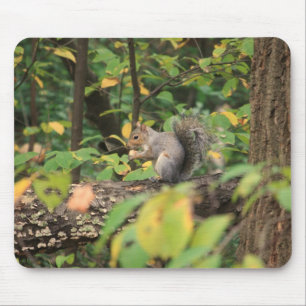 Squirrel in Autumn Mousepad