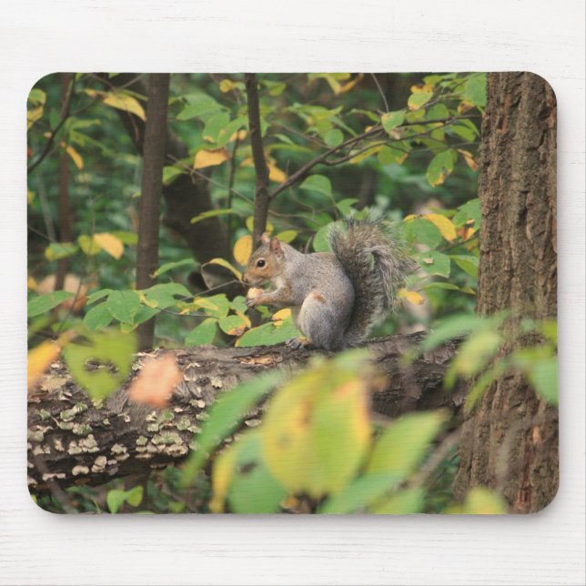 Squirrel in Autumn Mousepad (Front)