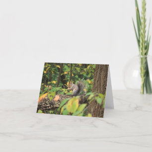 Squirrel in Autumn Notecard