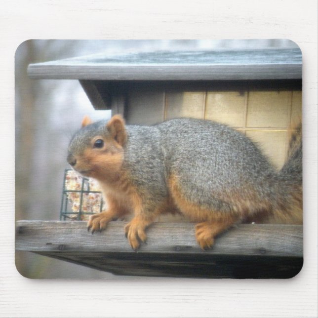 Squirrel in Bird Feeder Mouse Mat (Front)