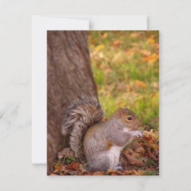 Squirrel in Fall Leaves Thanksgiving Invitation (Front)