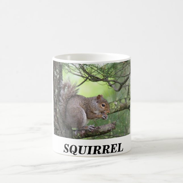 SQUIRREL IN PINE TREE EATING NUT COFFEE MUG (Center)