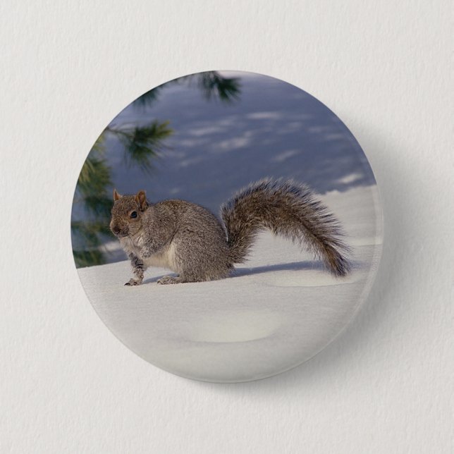 Squirrel in Snow 6 Cm Round Badge (Front)
