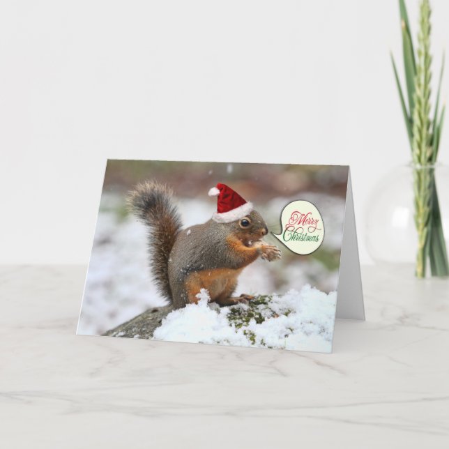Squirrel in Snow Christmas Holiday Card (Front)