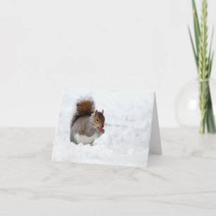 Squirrel in Snow with Berry Holiday Card