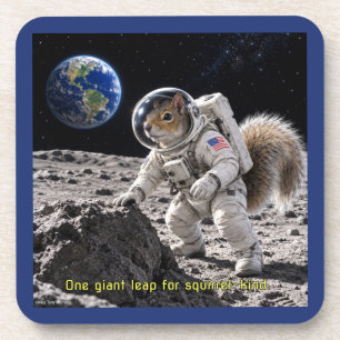 Squirrel in Space Coaster