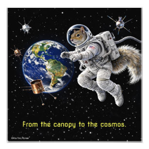 Squirrel in Space Photo Print
