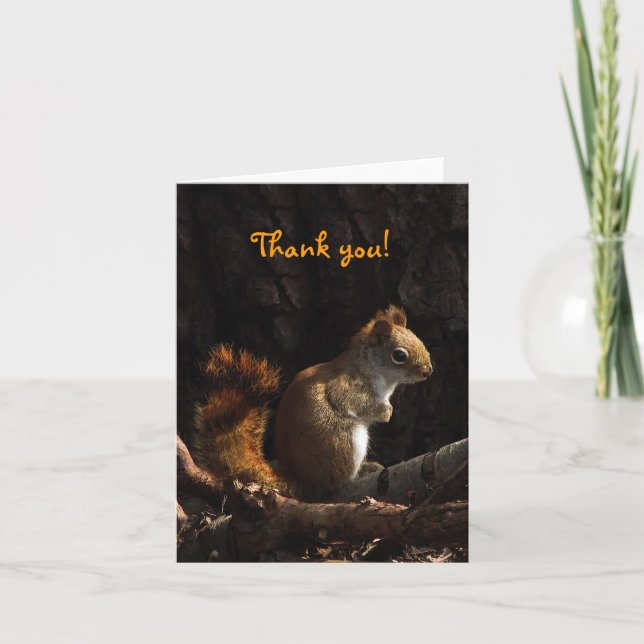 Squirrel in Sunlight Thank You Card (Front)