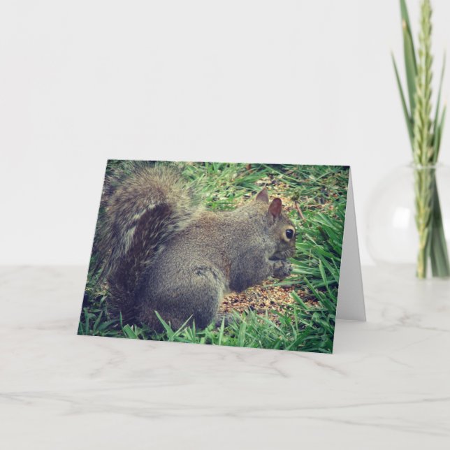 Squirrel in the Bird Seed Card (Front)