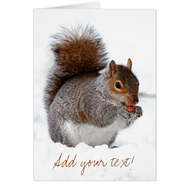 Squirrel in the Snow (Front)
