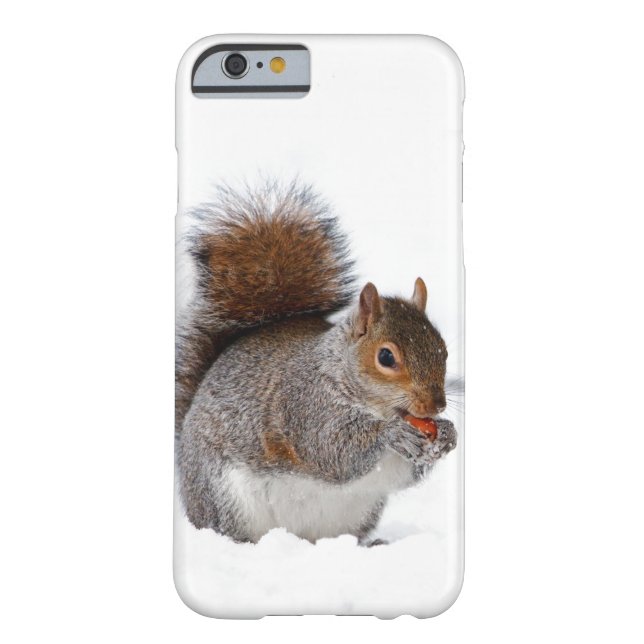 Squirrel in the Snow Case-Mate iPhone Case (Back)