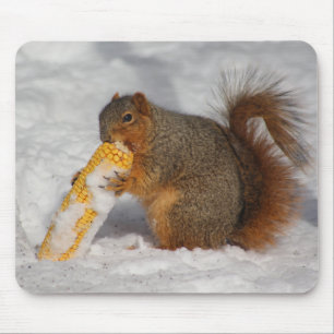 Squirrel in the snow mouse pad