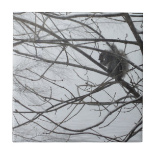 Squirrel in the Snow Tile