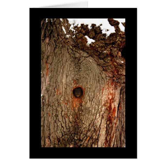 Squirrel in Tree (Front)