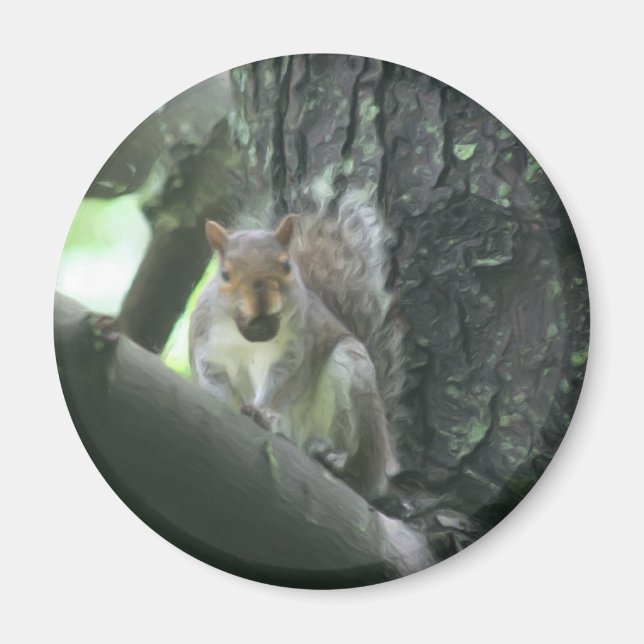 Squirrel In Tree Animal Art Magnet (Front)