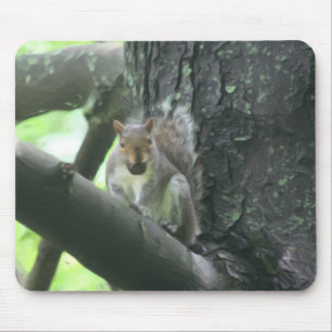 Squirrel In Tree Animal Art Mouse Mat