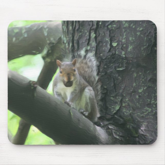 Squirrel In Tree Animal Art Mouse Mat (Front)
