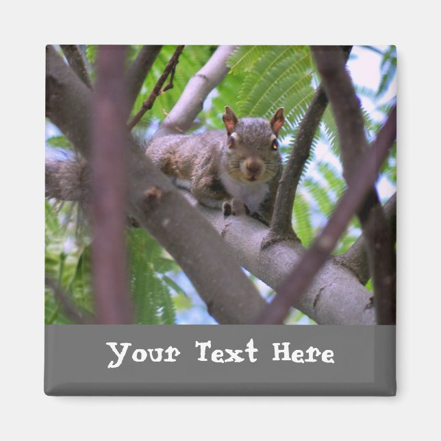 Squirrel in Tree Fridge Magnet (Front)