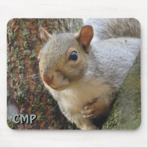 Squirrel In Tree  Mouse Mat