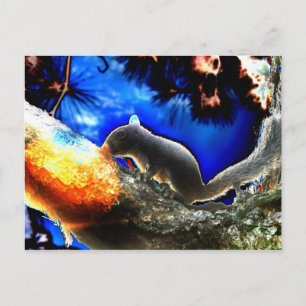 Squirrel In tree Pop Art Style Postcard