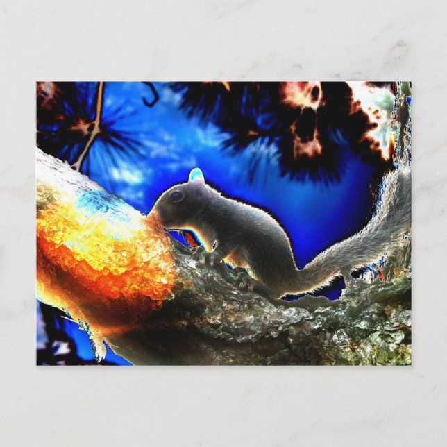 Squirrel In tree Pop Art Style Postcard (Front)