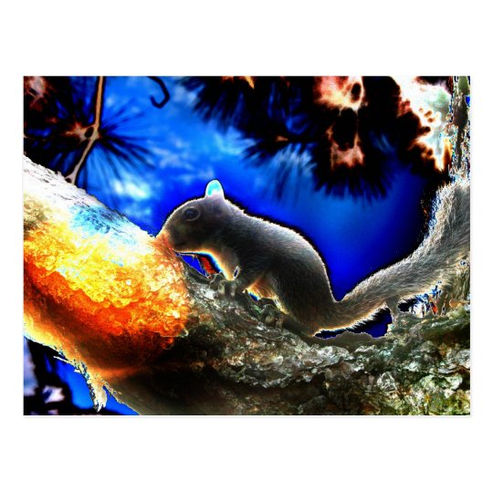 Squirrel In tree Pop Art Style Postcard