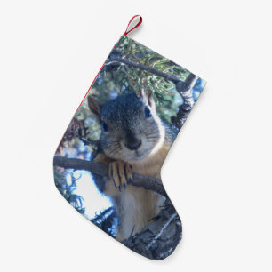Squirrel in Tree - Small Christmas Stocking