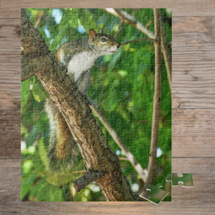 Squirrel in Tree Wildlife Photography  Jigsaw Puzzle