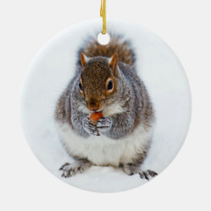 Squirrel in Winter Ceramic Tree Decoration