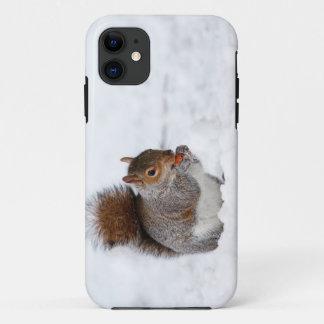 Squirrel In Winter iPhone 5 Case