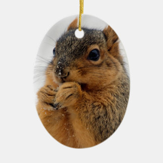 Squirrel in Wonder Ceramic Tree Decoration