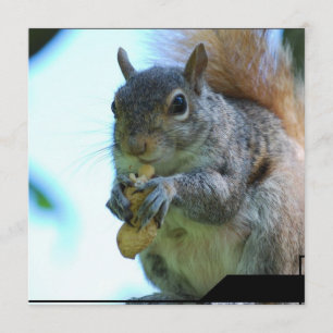 Squirrel Invitations