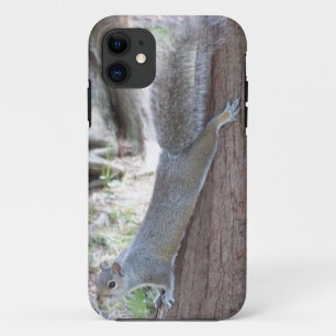 Squirrel iPhone 5 case