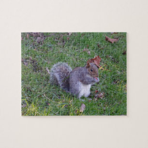 Squirrel Jigsaw Puzzle
