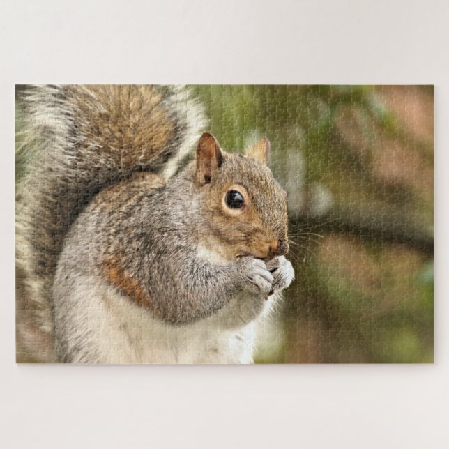 Squirrel Jigsaw Puzzle (Horizontal)