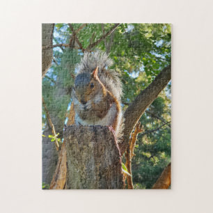 Squirrel Jigsaw Puzzle