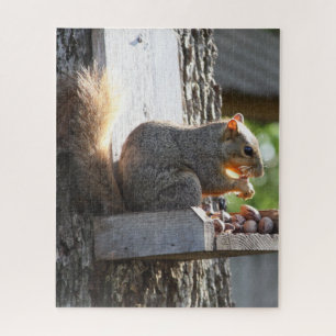 Squirrel Jigsaw Puzzle