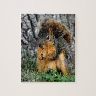 Squirrel Jigsaw Puzzle