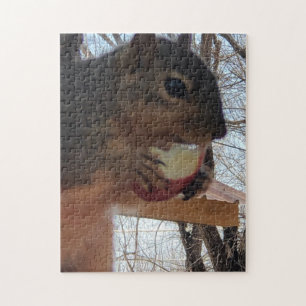 Squirrel  jigsaw puzzle