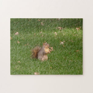 Squirrel Jigsaw Puzzle