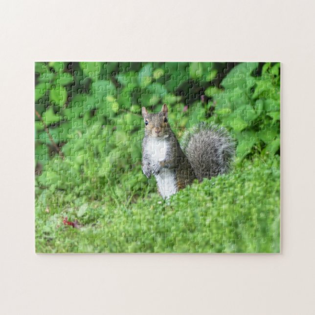 Squirrel Jigsaw Puzzle (Horizontal)