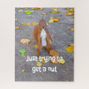 squirrel Just trying to get a nut Jigsaw Puzzle