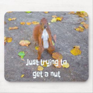 squirrel Just trying to get a nut Mouse Mat