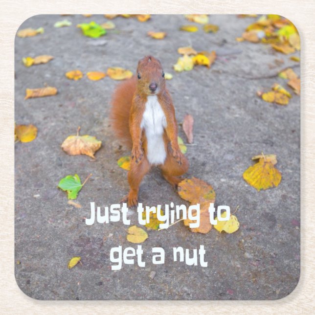 squirrel Just trying to get a nut Square Paper Coaster (Front)