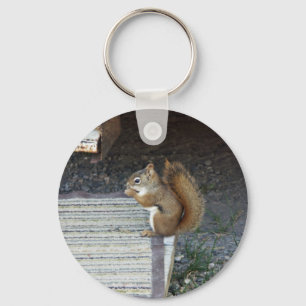 Squirrel Key Ring