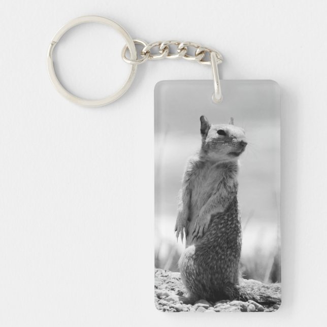 Squirrel Key Ring (Front)